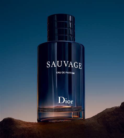 christian dior perfume for men